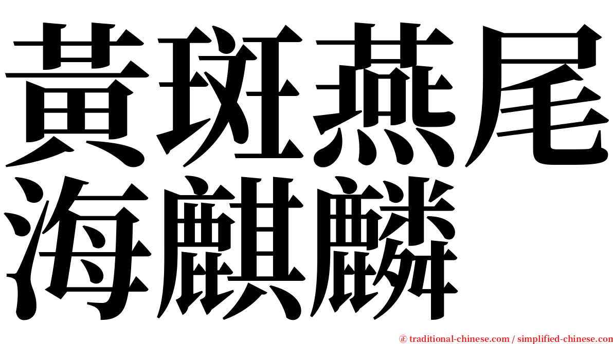 黃斑燕尾海麒麟 serif font