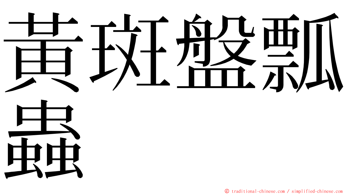 黃斑盤瓢蟲 ming font