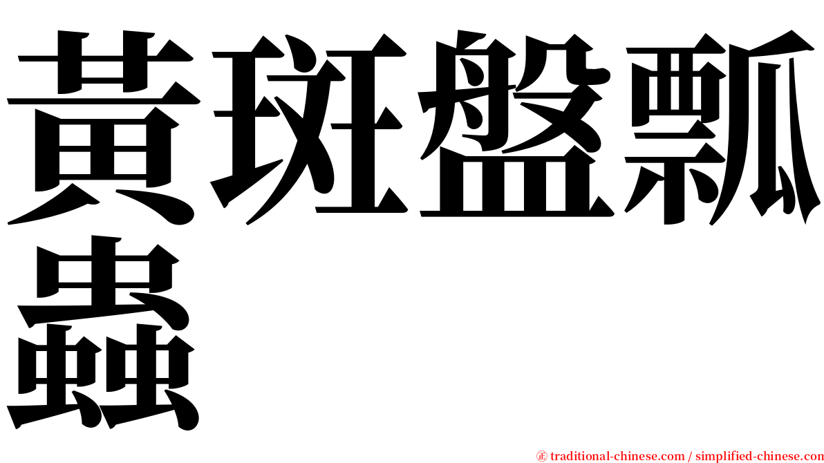 黃斑盤瓢蟲 serif font