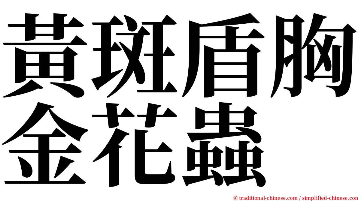 黃斑盾胸金花蟲 serif font