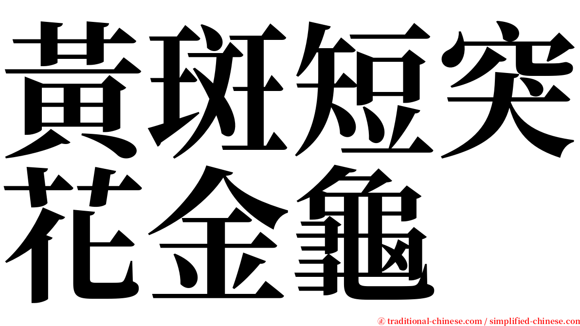 黃斑短突花金龜 serif font