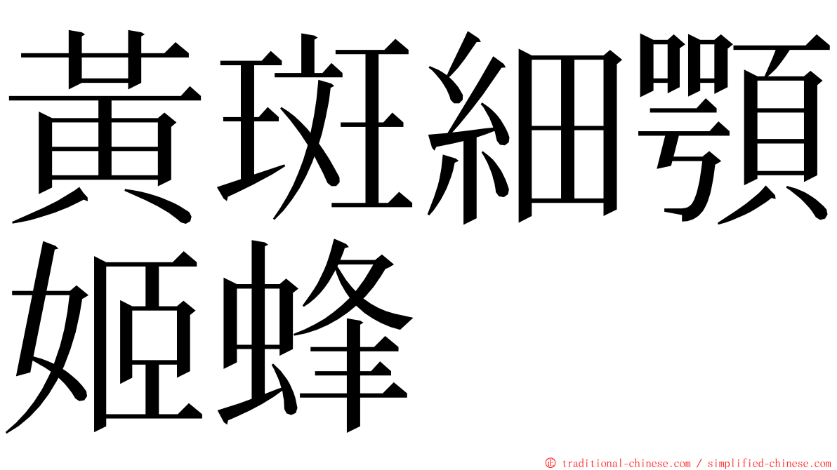 黃斑細顎姬蜂 ming font