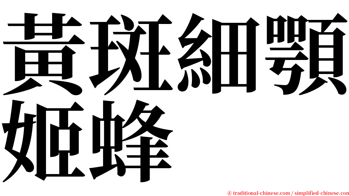 黃斑細顎姬蜂 serif font