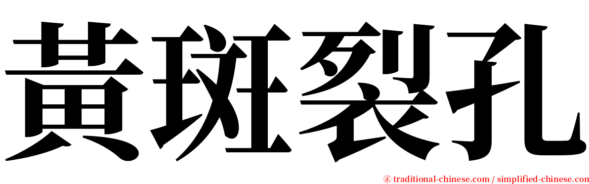 黃斑裂孔 serif font