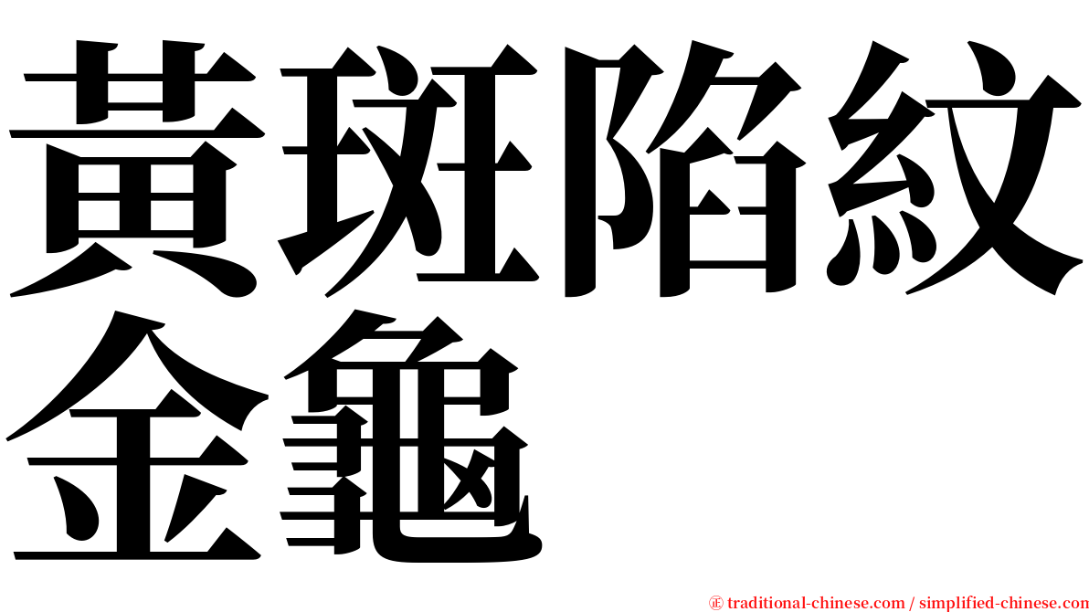 黃斑陷紋金龜 serif font