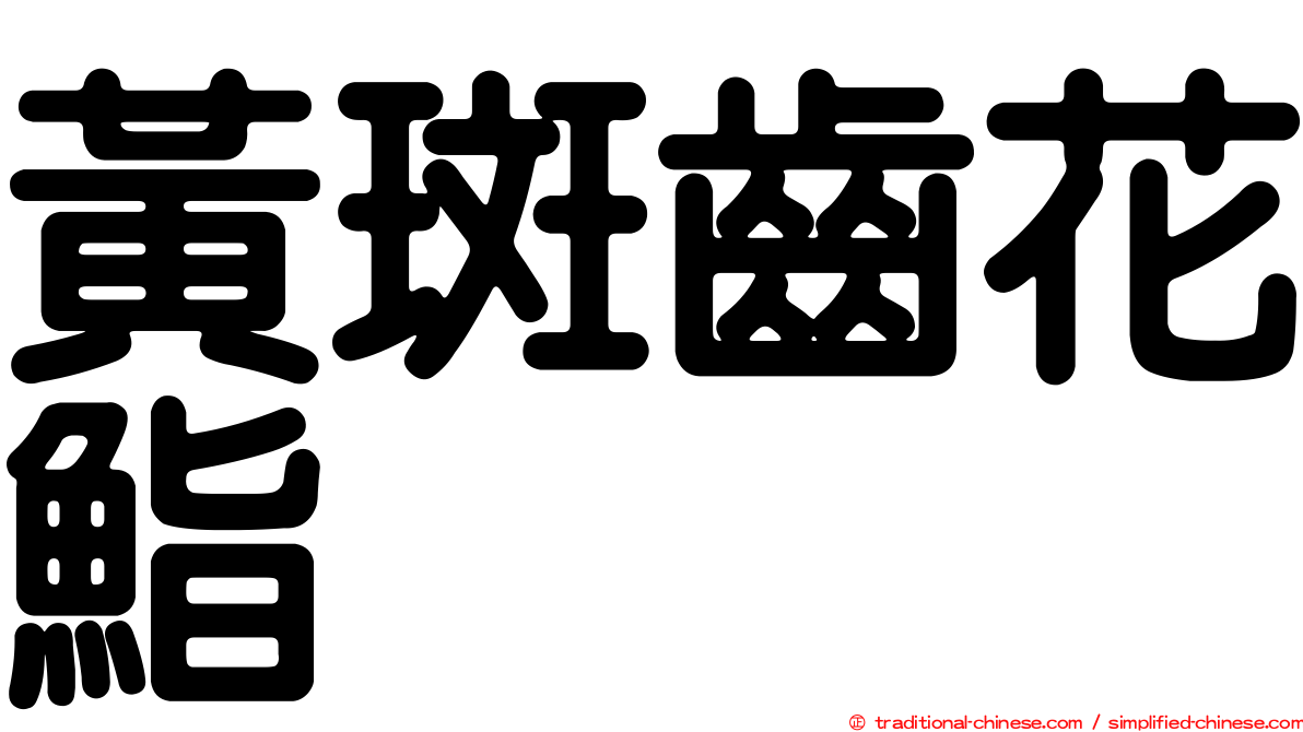 黃斑齒花鮨