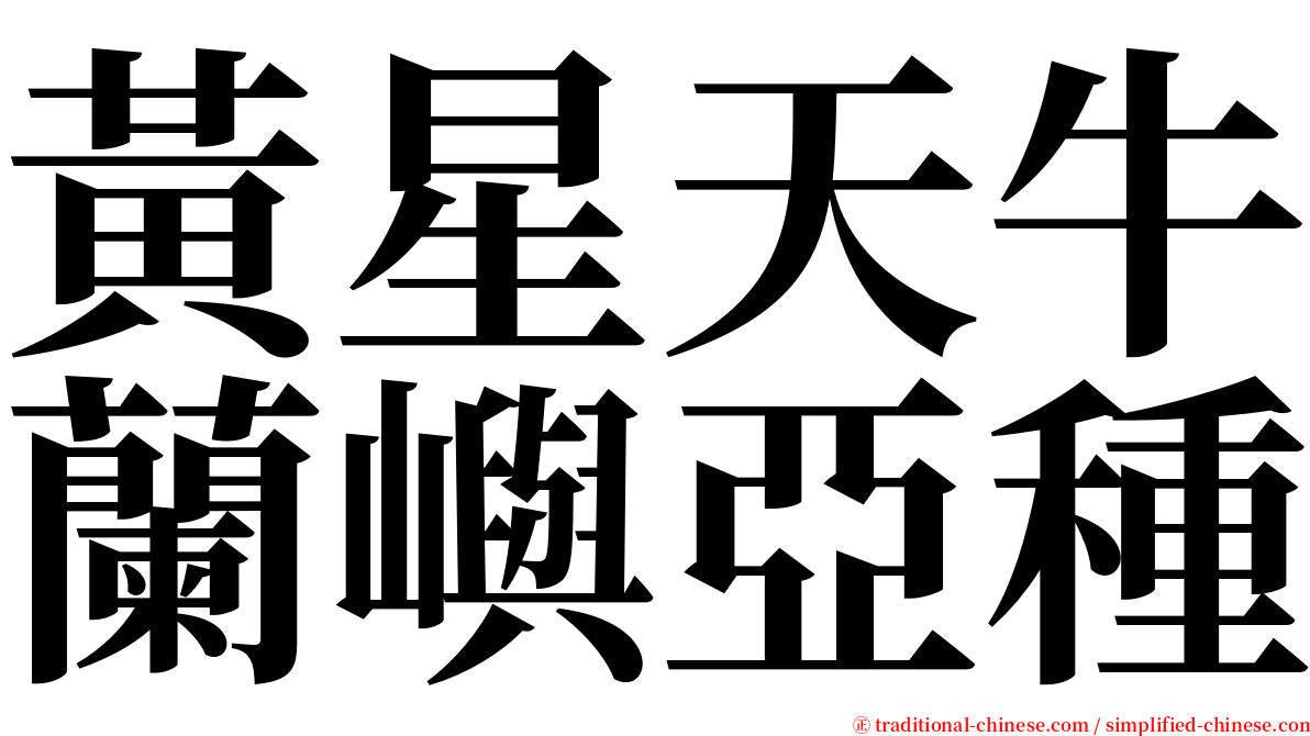 黃星天牛蘭嶼亞種 serif font