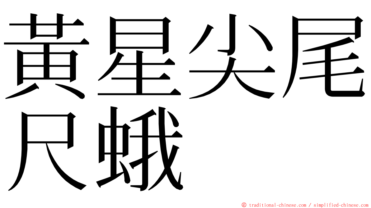 黃星尖尾尺蛾 ming font