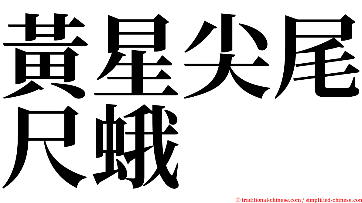 黃星尖尾尺蛾 serif font