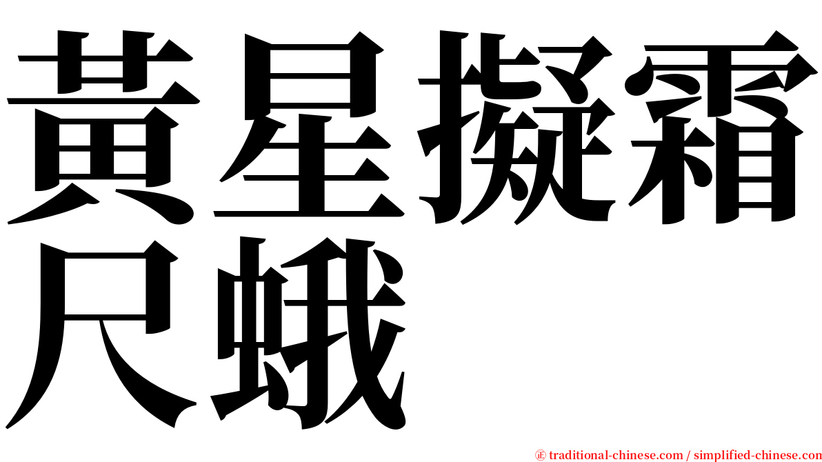 黃星擬霜尺蛾 serif font