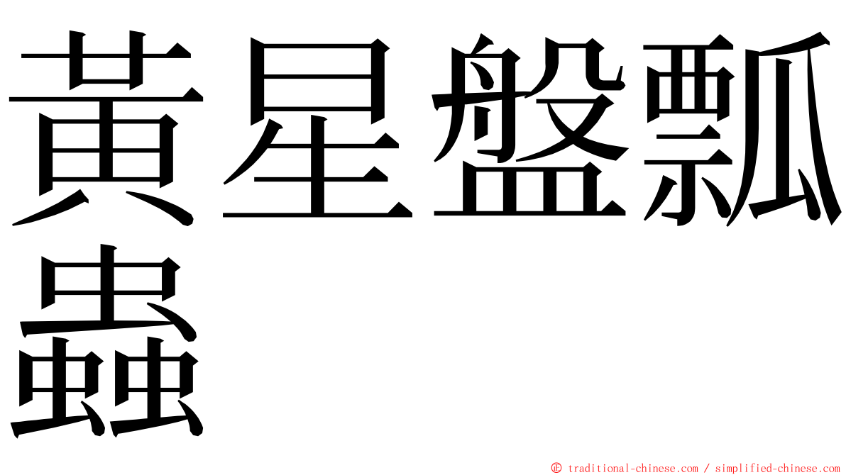 黃星盤瓢蟲 ming font