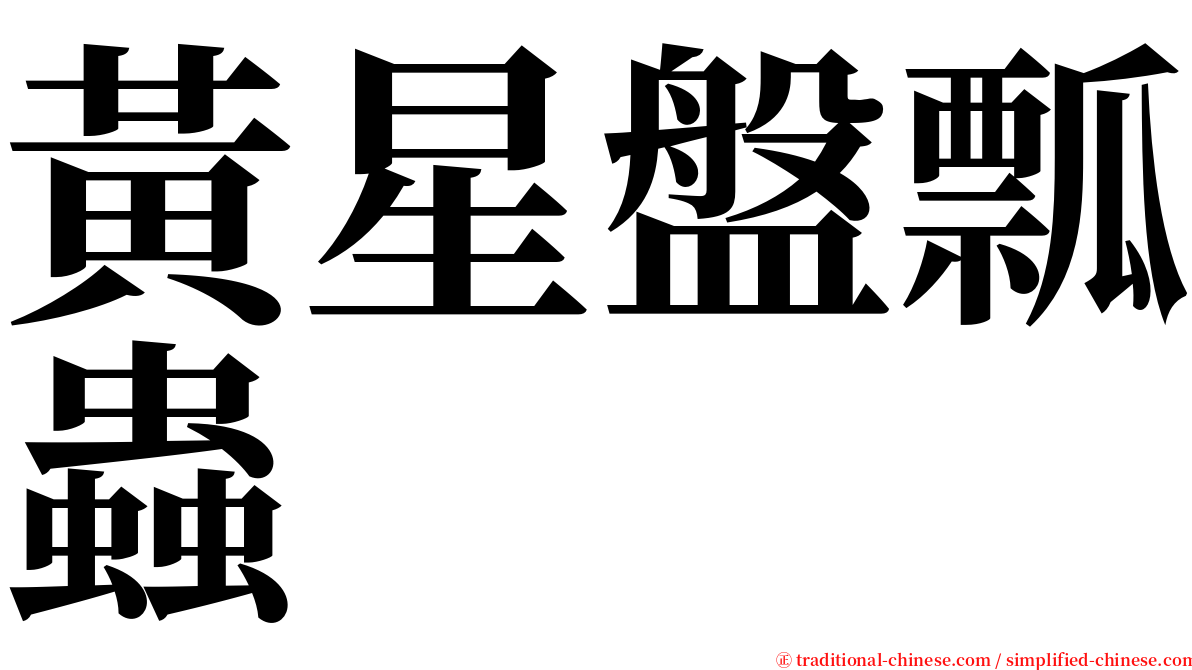 黃星盤瓢蟲 serif font