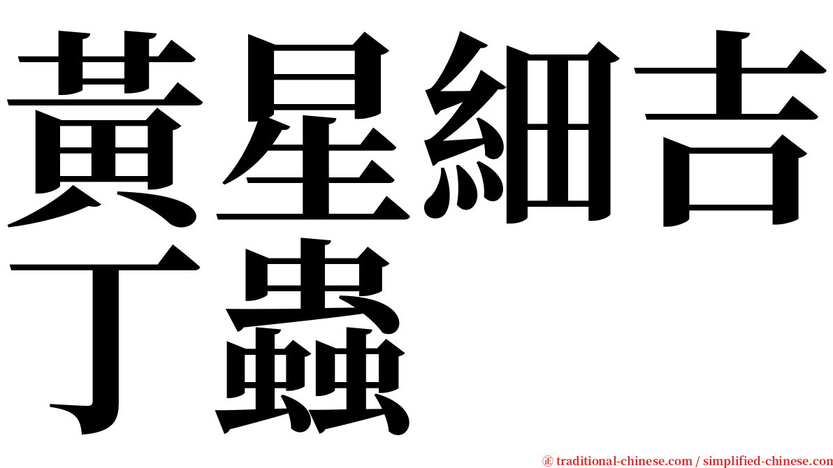 黃星細吉丁蟲 serif font