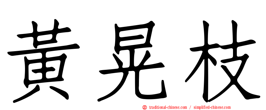 黃晃枝