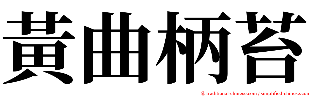 黃曲柄苔 serif font