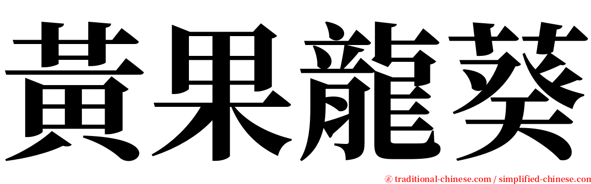 黃果龍葵 serif font