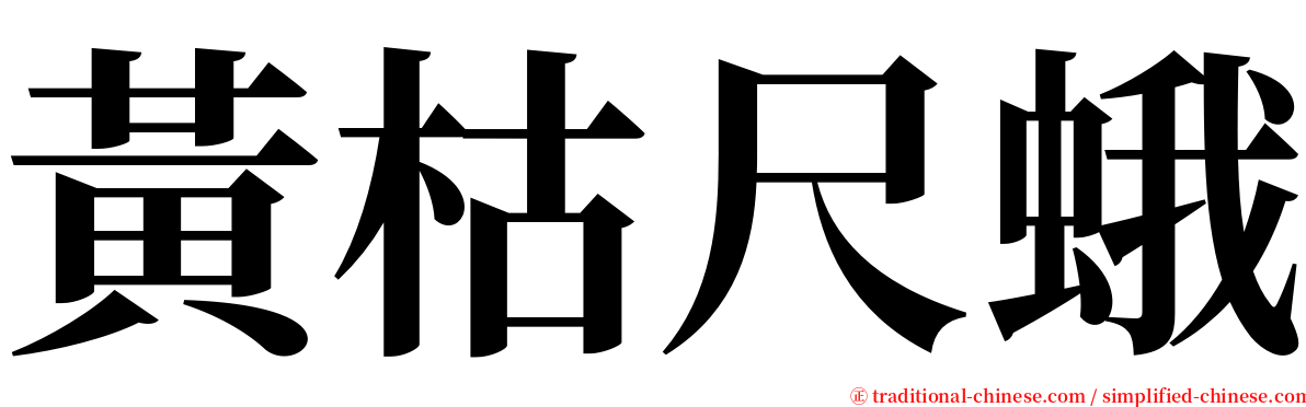 黃枯尺蛾 serif font