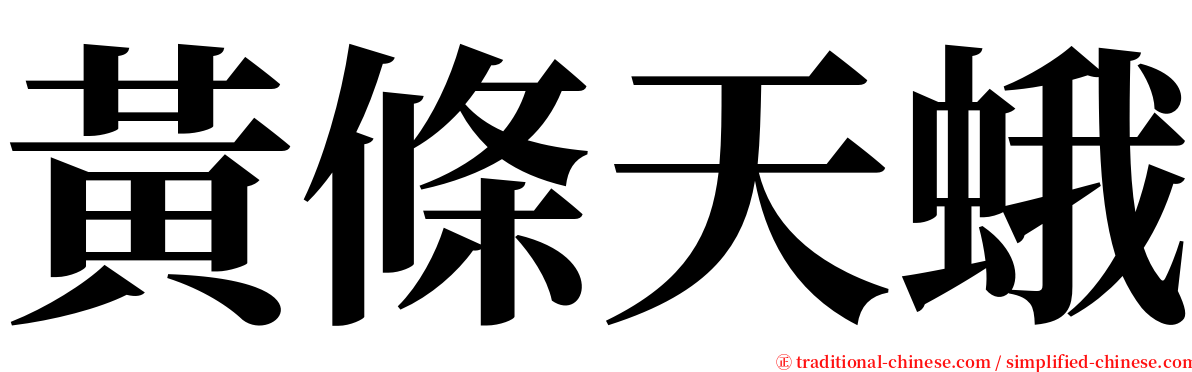 黃條天蛾 serif font