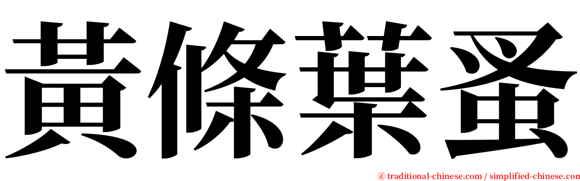 黃條葉蚤 serif font