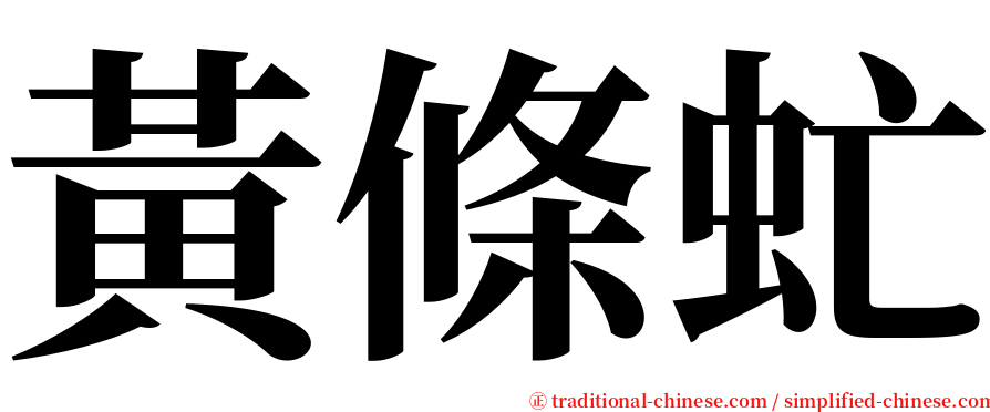 黃條虻 serif font