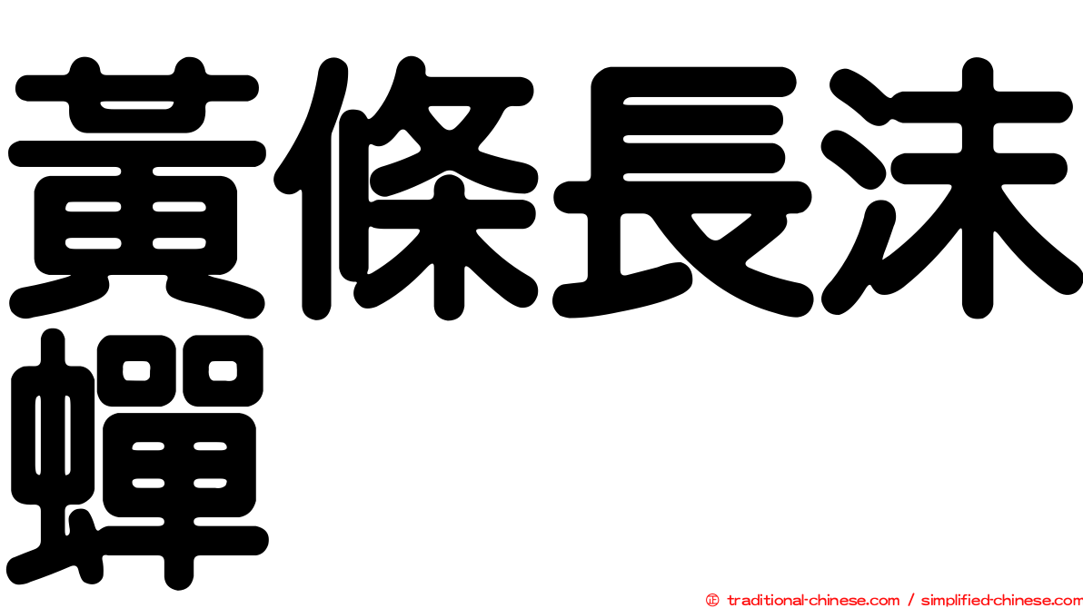 黃條長沫蟬