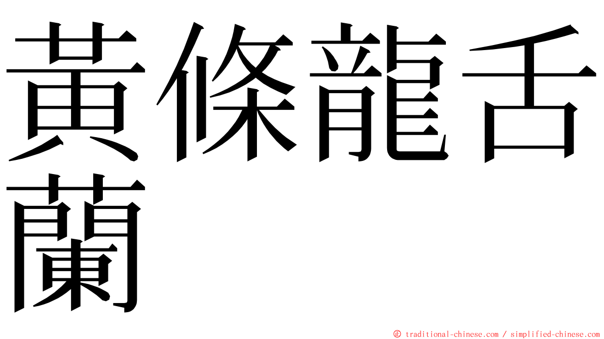黃條龍舌蘭 ming font