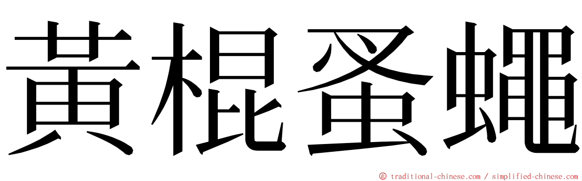 黃棍蚤蠅 ming font