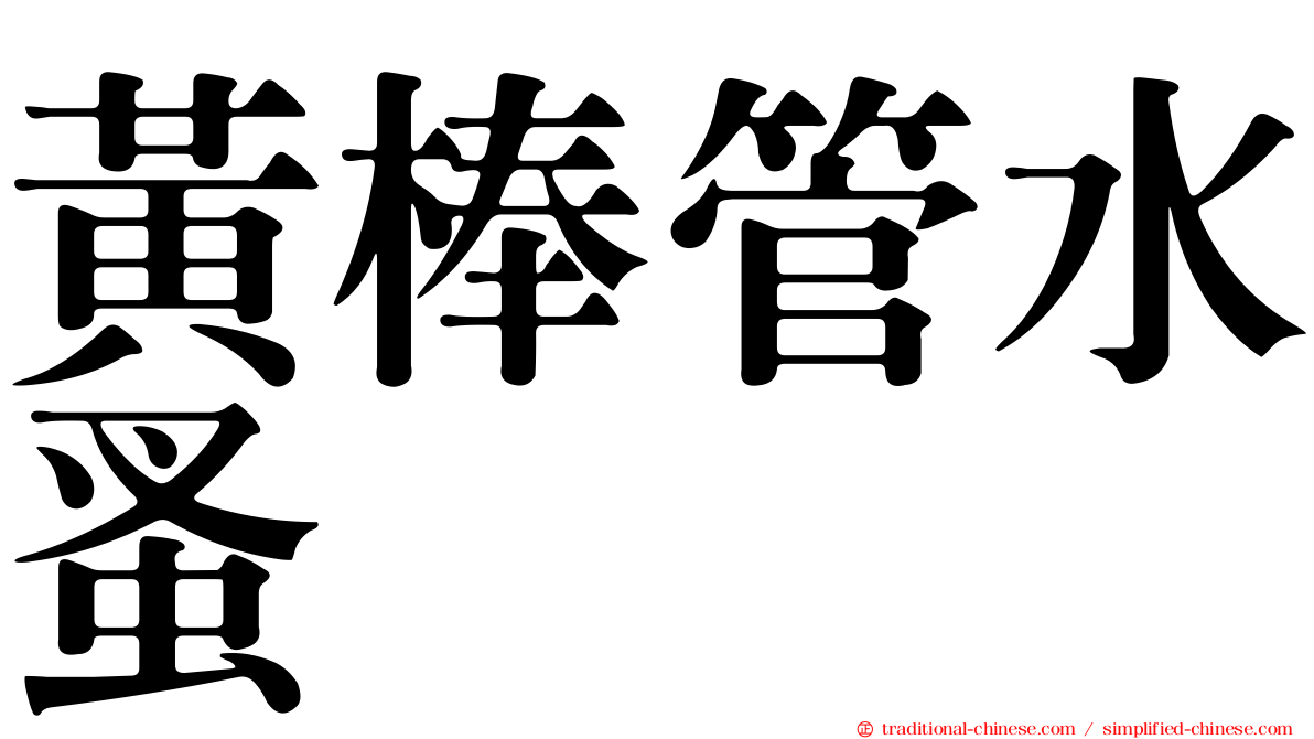 黃棒管水蚤