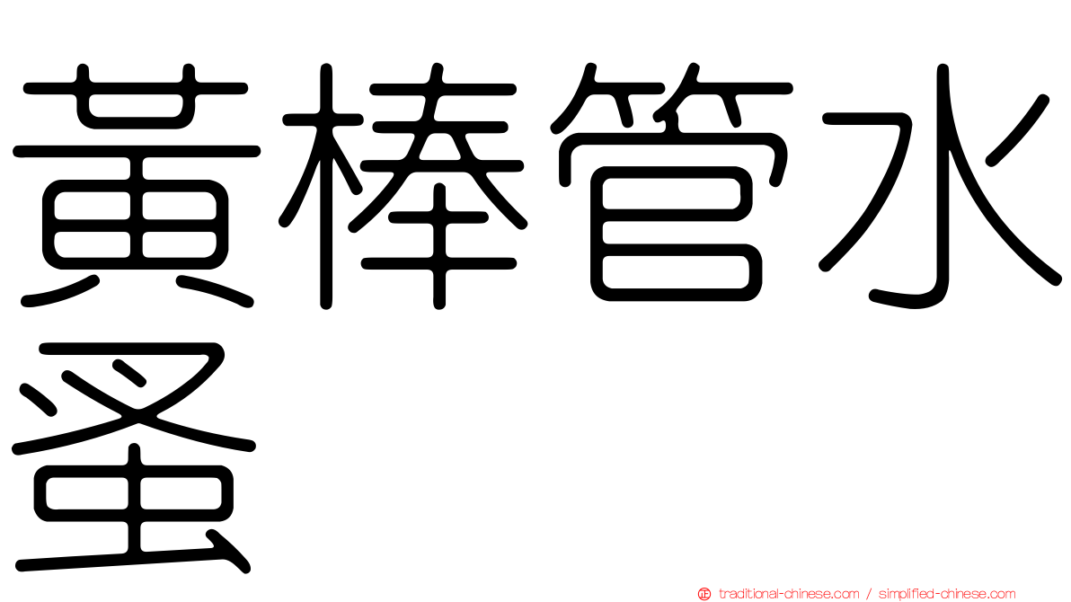 黃棒管水蚤