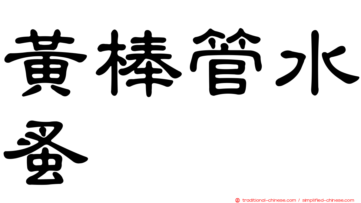黃棒管水蚤