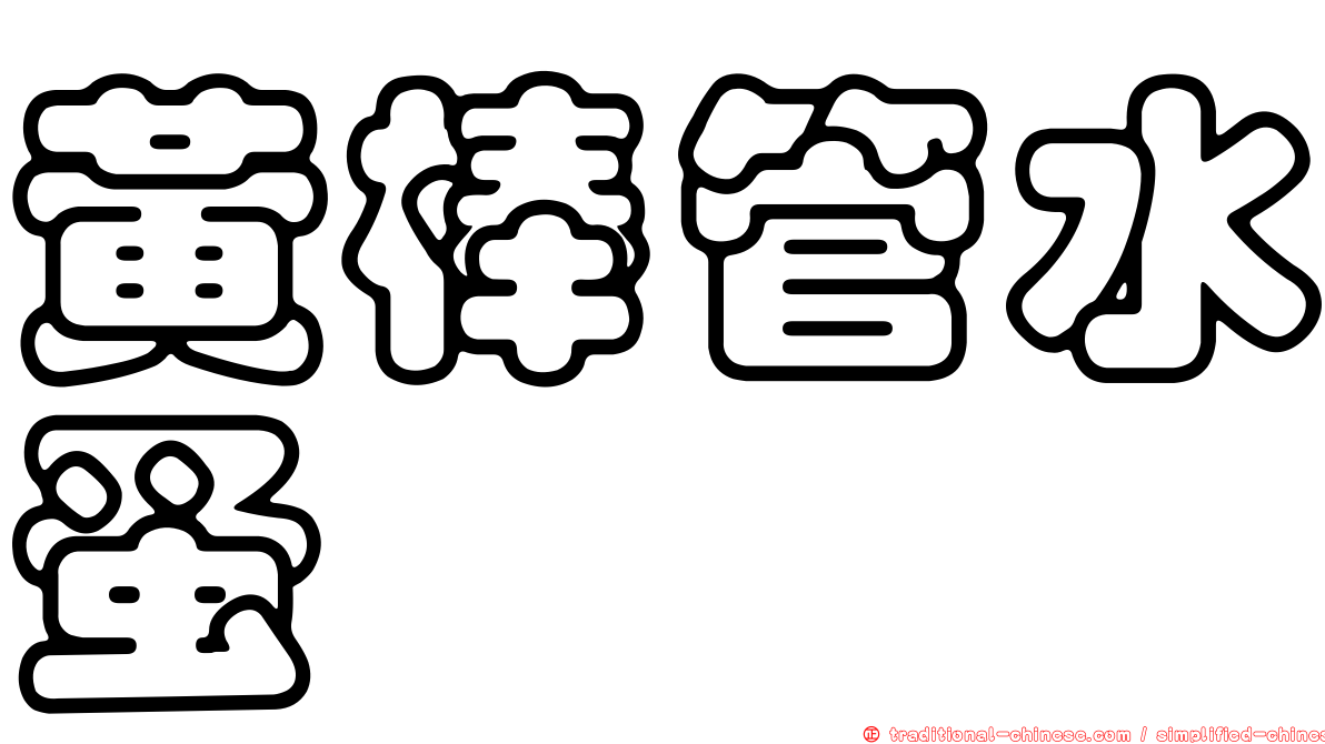 黃棒管水蚤