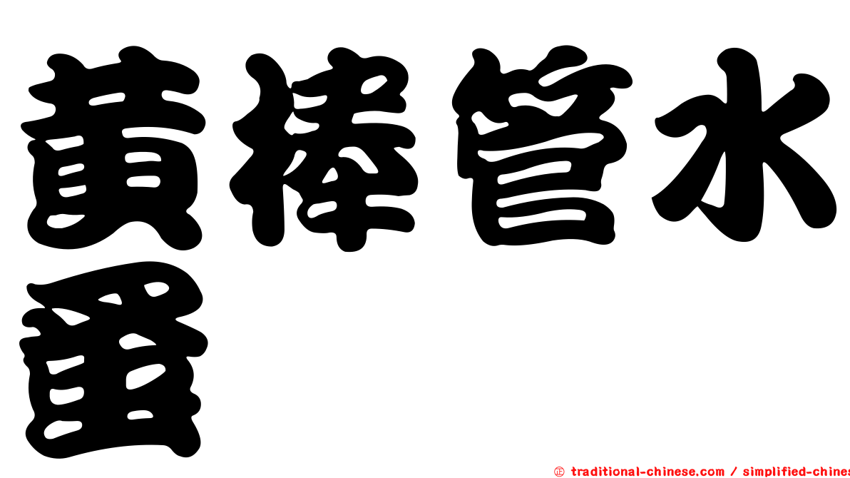 黃棒管水蚤