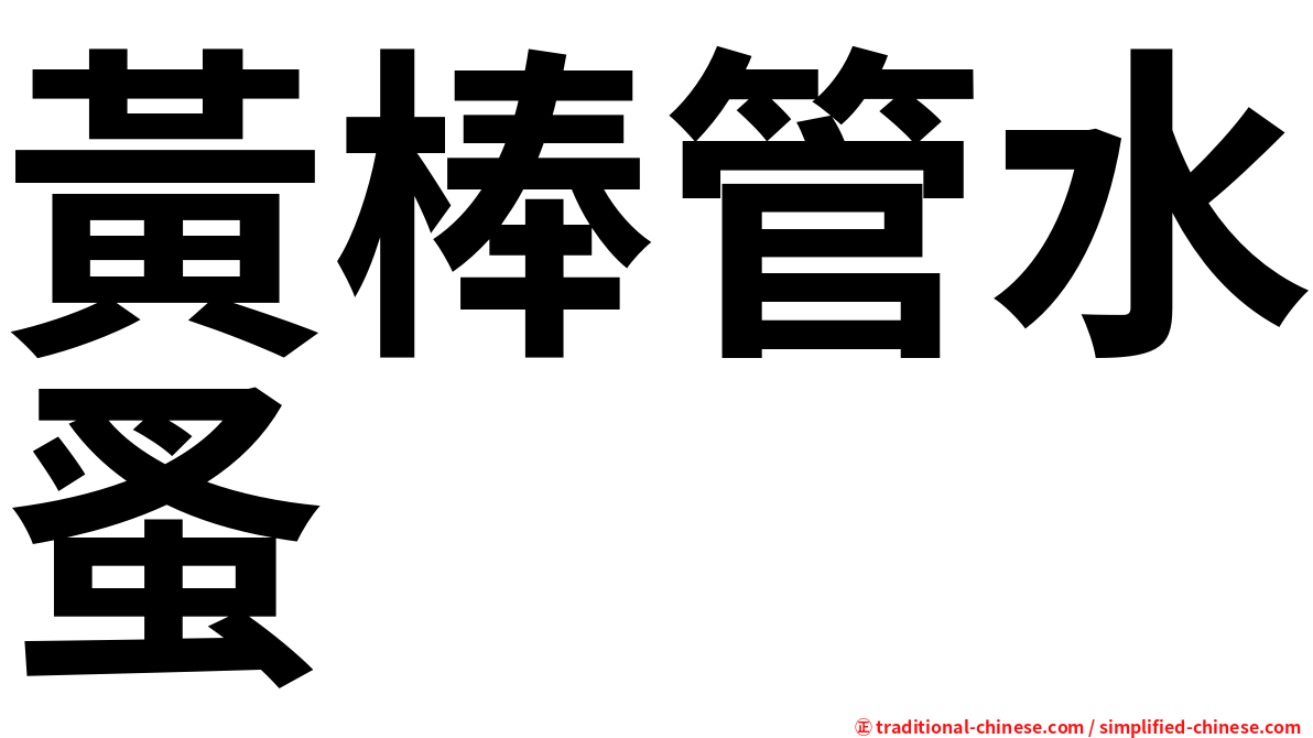 黃棒管水蚤