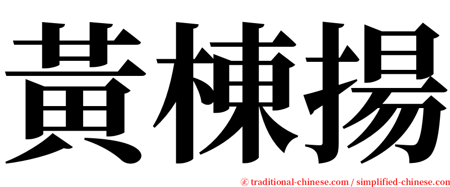 黃棟揚 serif font