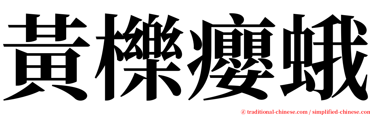 黃櫟癭蛾 serif font