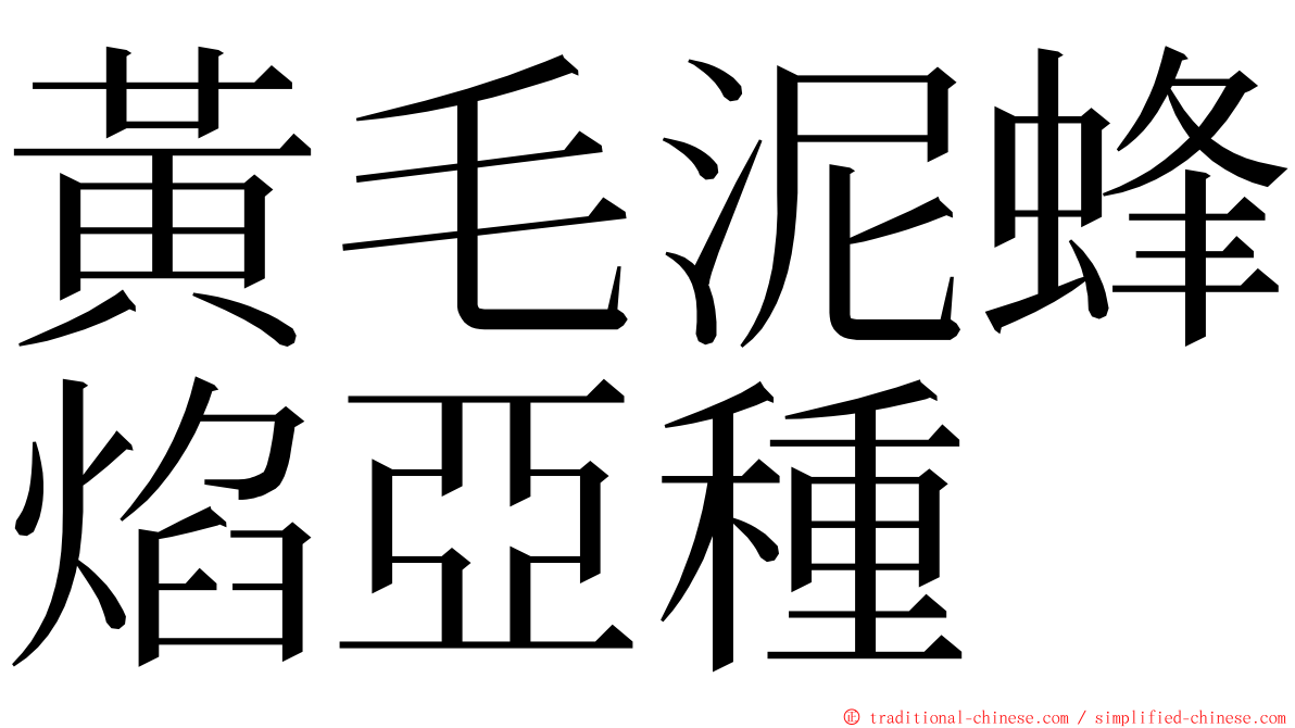 黃毛泥蜂焰亞種 ming font