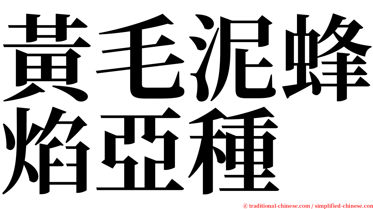 黃毛泥蜂焰亞種 serif font