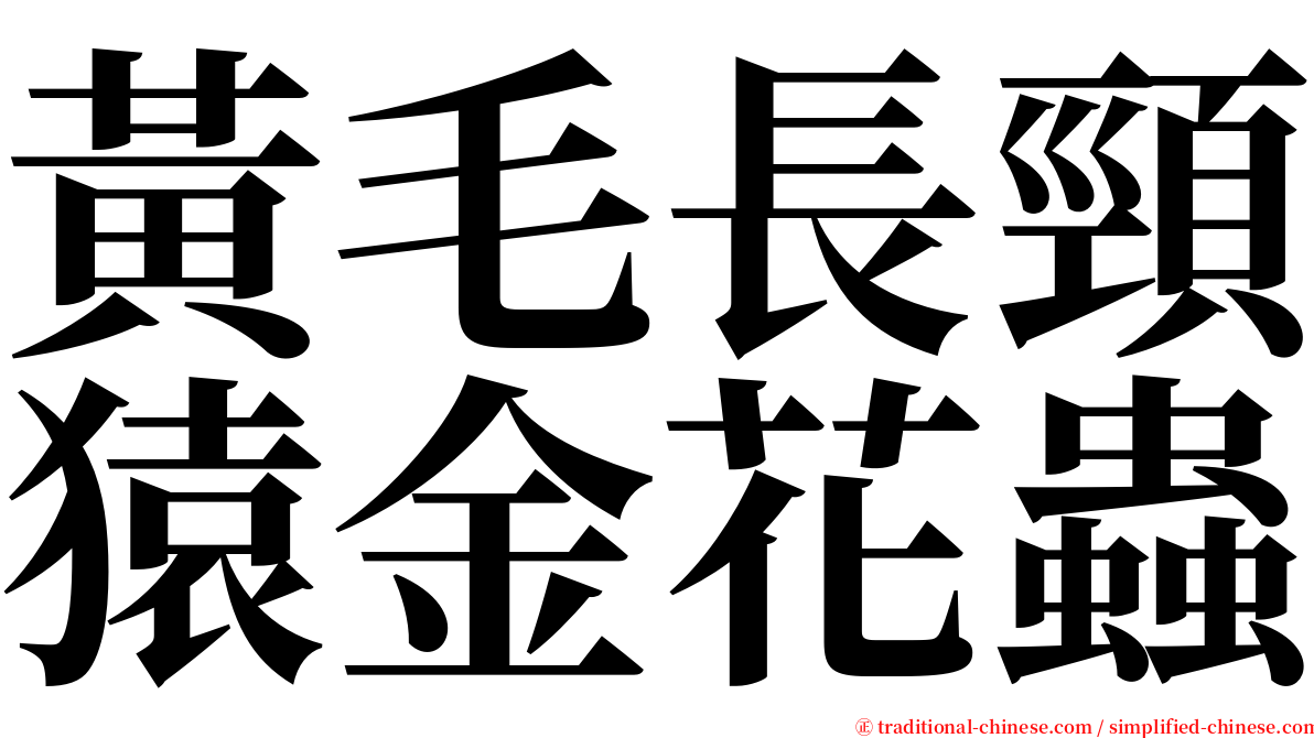 黃毛長頸猿金花蟲 serif font