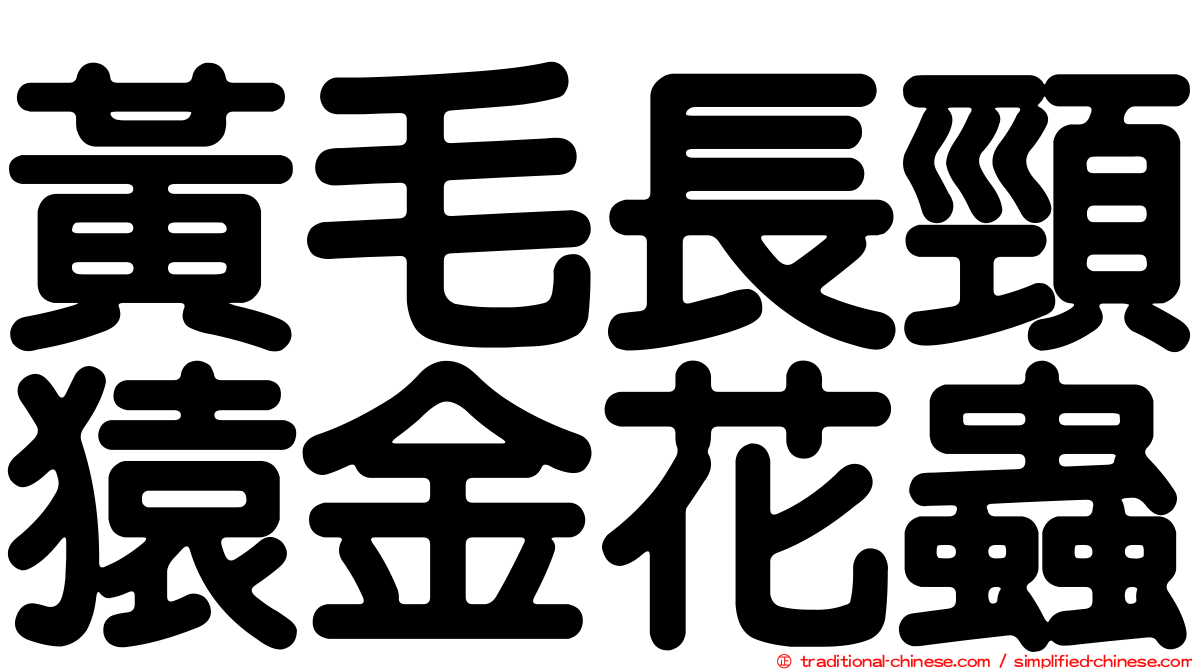 黃毛長頸猿金花蟲