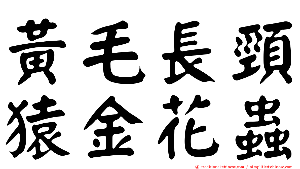 黃毛長頸猿金花蟲