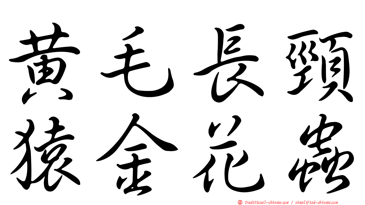 黃毛長頸猿金花蟲