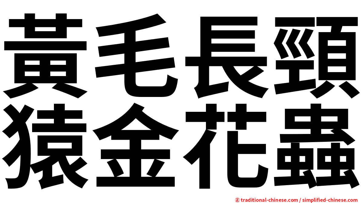 黃毛長頸猿金花蟲