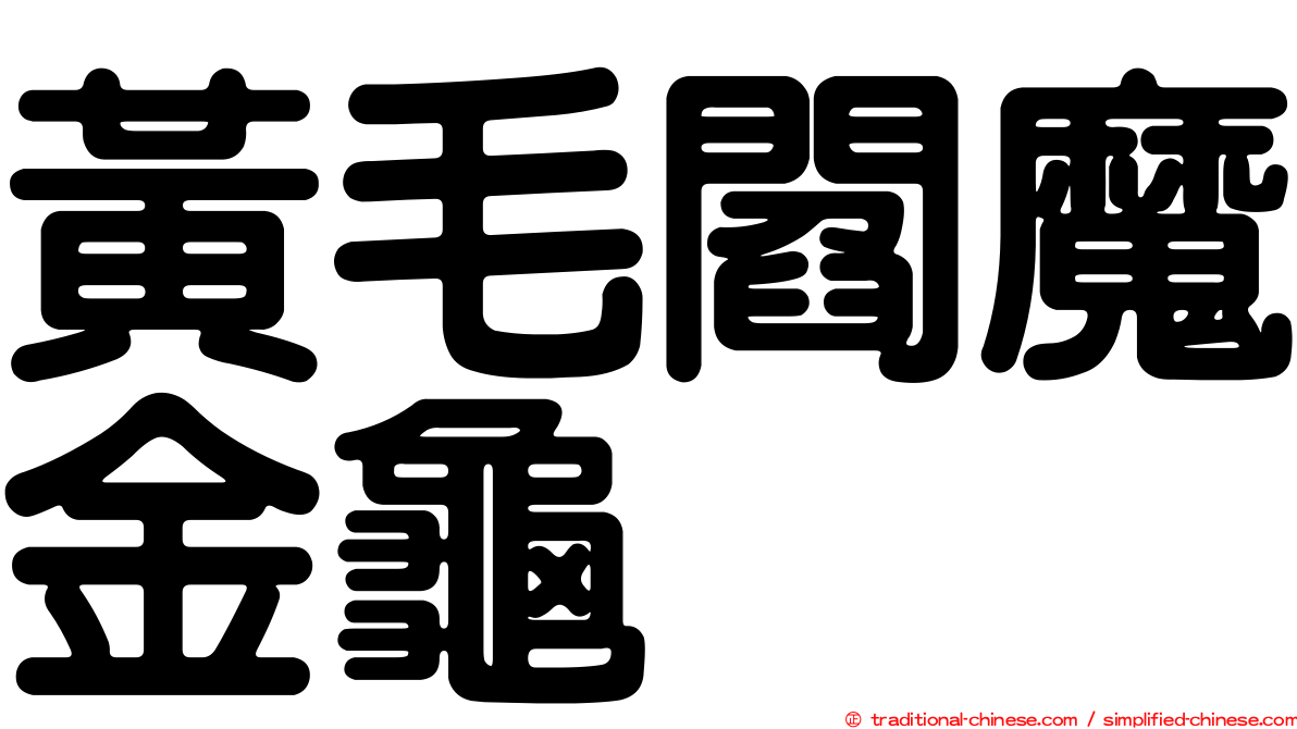 黃毛閻魔金龜