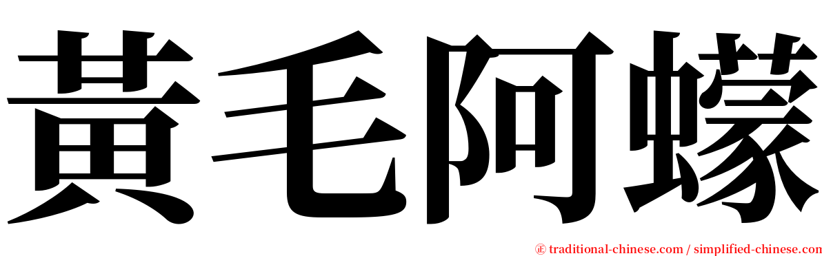 黃毛阿蠓 serif font