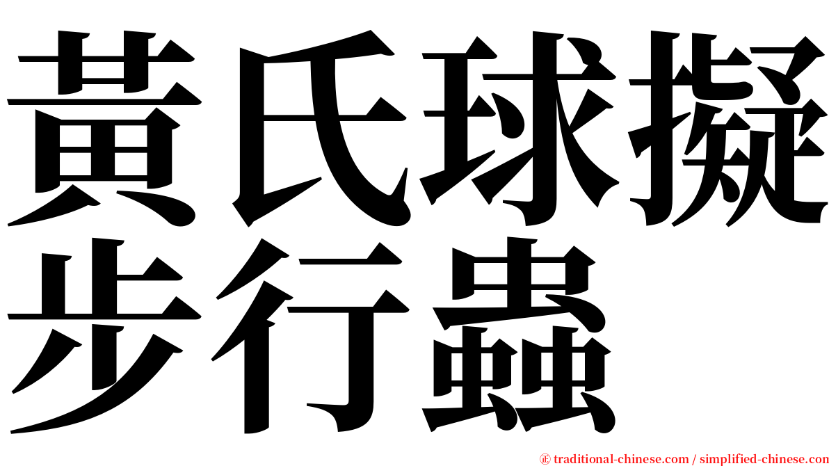 黃氏球擬步行蟲 serif font