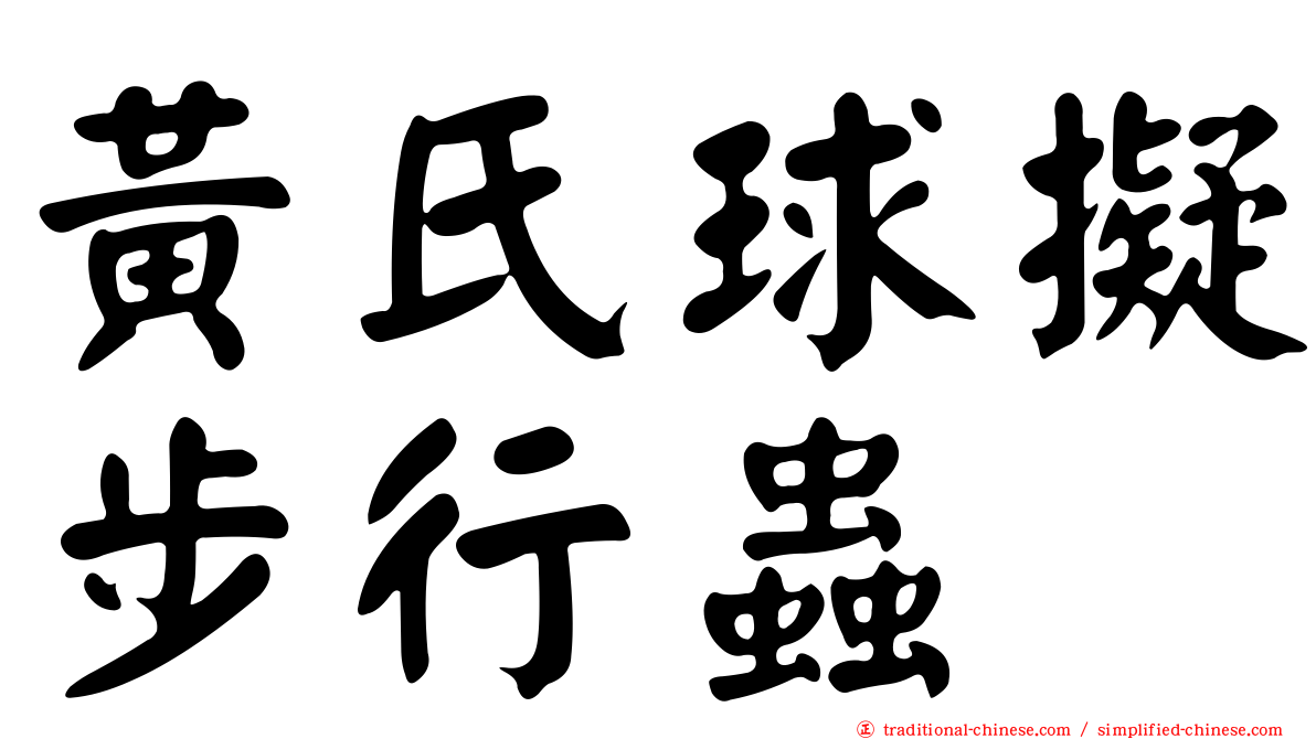 黃氏球擬步行蟲