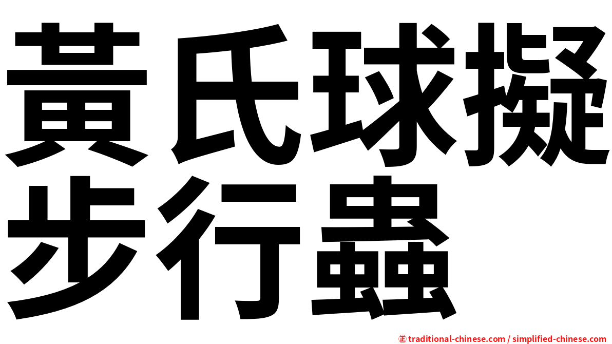 黃氏球擬步行蟲