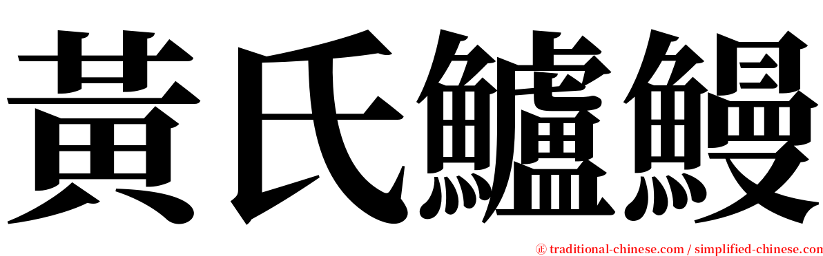 黃氏鱸鰻 serif font