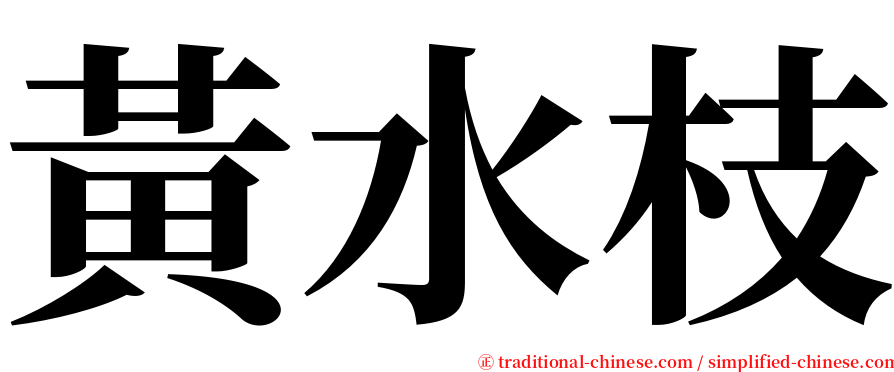 黃水枝 serif font