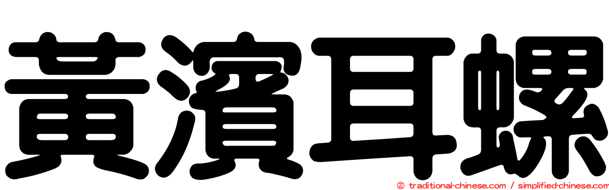 黃濱耳螺